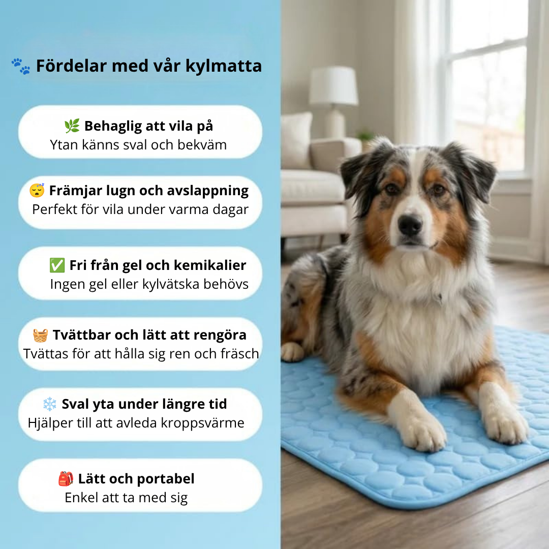 Kylmatta för Hund & Katt